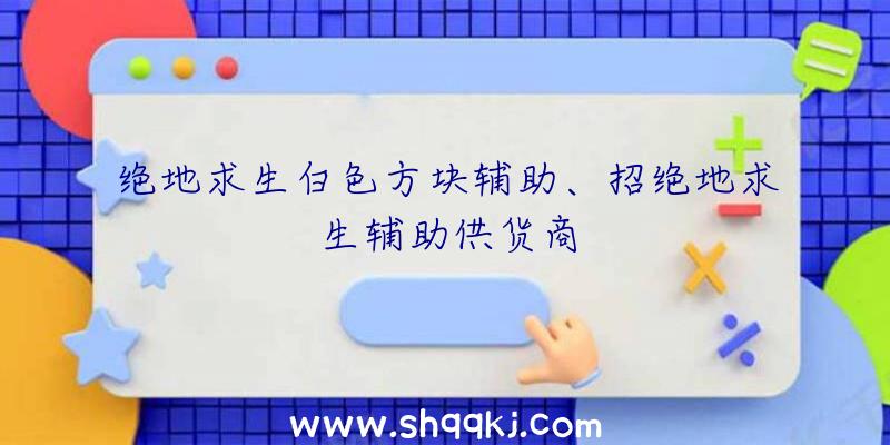 绝地求生白色方块辅助、招绝地求生辅助供货商