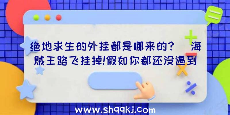 绝地求生的外挂都是哪来的？（海贼王路飞挂掉!假如你都还没遇到过这一软件,相信你一定会妥协）