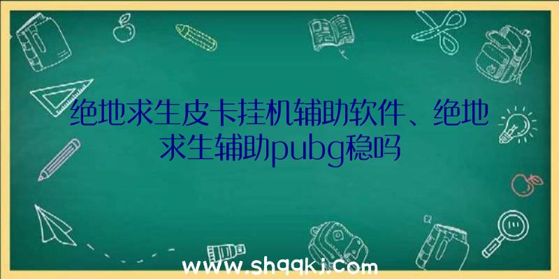 绝地求生皮卡挂机辅助软件、绝地求生辅助pubg稳吗