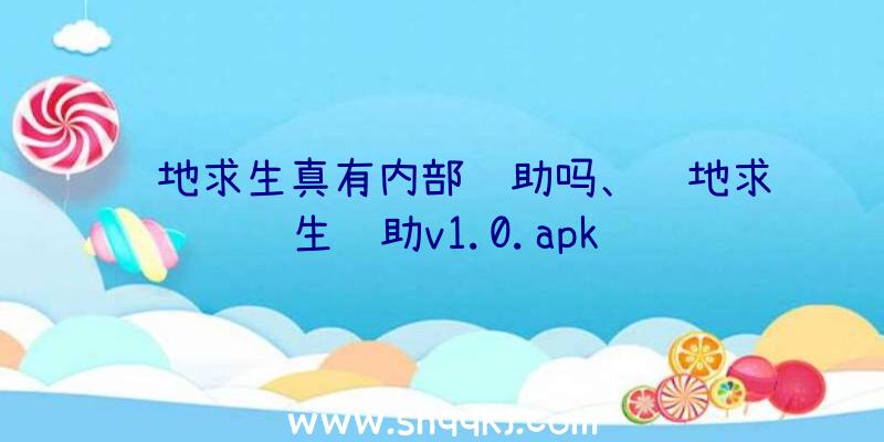 绝地求生真有内部辅助吗、绝地求生辅助v1.0.apk