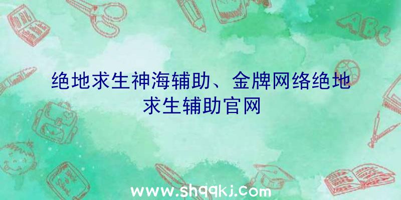 绝地求生神海辅助、金牌网络绝地求生辅助官网