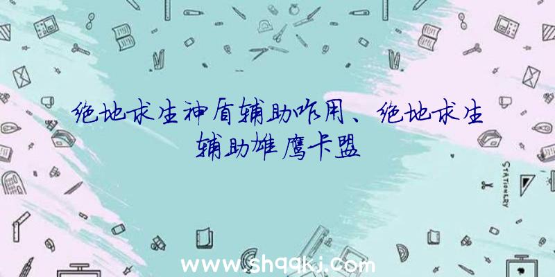 绝地求生神盾辅助咋用、绝地求生辅助雄鹰卡盟