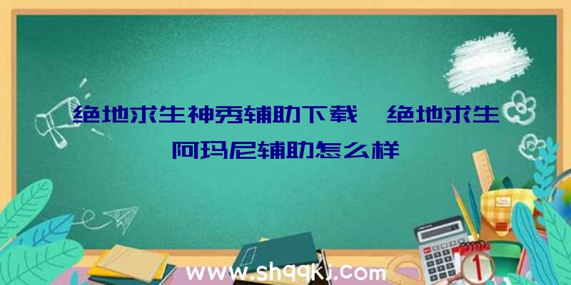 绝地求生神秀辅助下载、绝地求生阿玛尼辅助怎么样