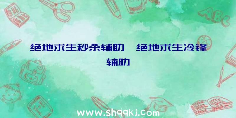 绝地求生秒杀辅助、绝地求生冷锋辅助