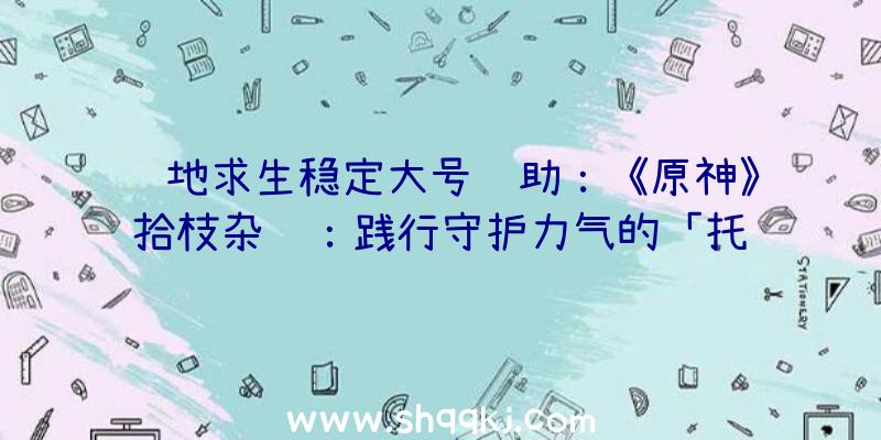 绝地求生稳定大号辅助：《原神》拾枝杂谈：践行守护力气的「托马：丹心红铠」