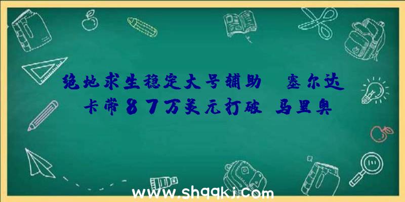 绝地求生稳定大号辅助：《塞尔达》卡带87万美元打破《马里奥》66万记载仅起拍价就高达11万美元