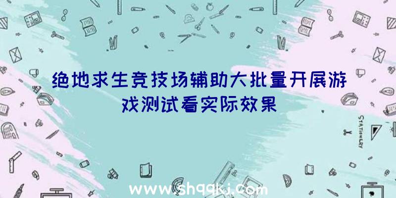 绝地求生竞技场辅助大批量开展游戏测试看实际效果