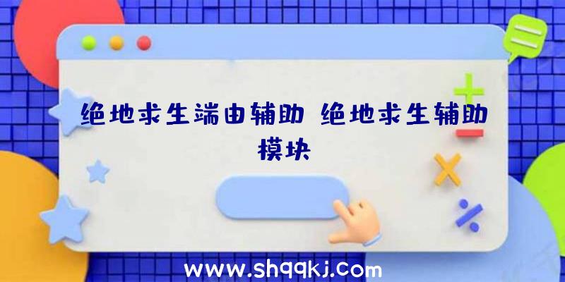 绝地求生端由辅助、绝地求生辅助模块