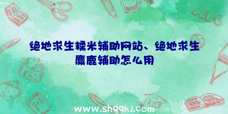 绝地求生糯米辅助网站、绝地求生麋鹿辅助怎么用