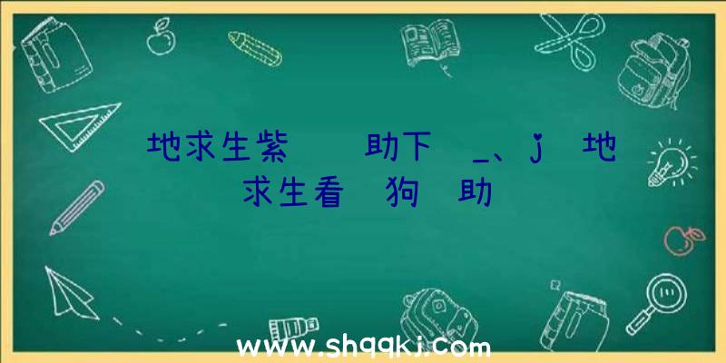 绝地求生紫龙辅助下载_、j绝地求生看门狗辅助