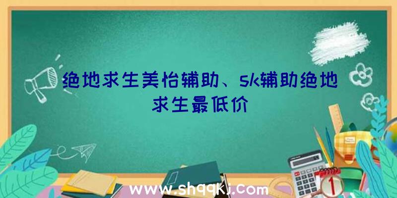 绝地求生美怡辅助、sk辅助绝地求生最低价