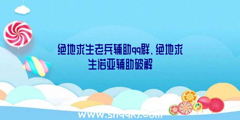 绝地求生老兵辅助qq群、绝地求生诺亚辅助破解