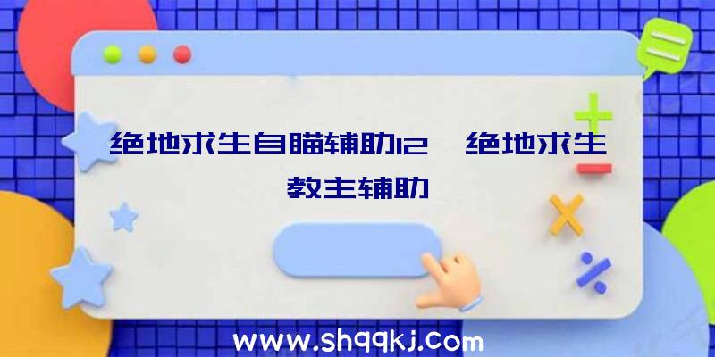 绝地求生自瞄辅助12、绝地求生教主辅助