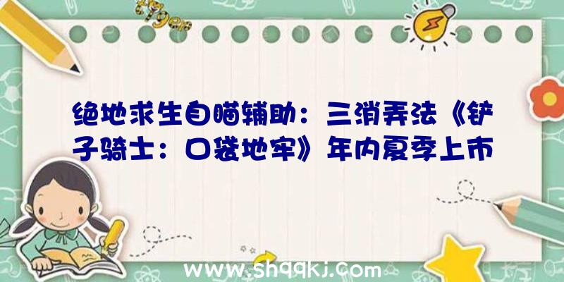 绝地求生自瞄辅助：三消弄法《铲子骑士：口袋地牢》年内夏季上市含故事形式和双人对战形式