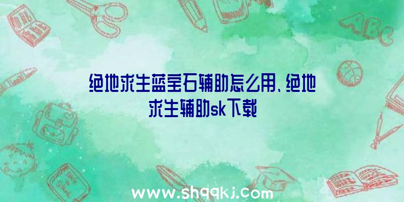 绝地求生蓝宝石辅助怎么用、绝地求生辅助sk下载