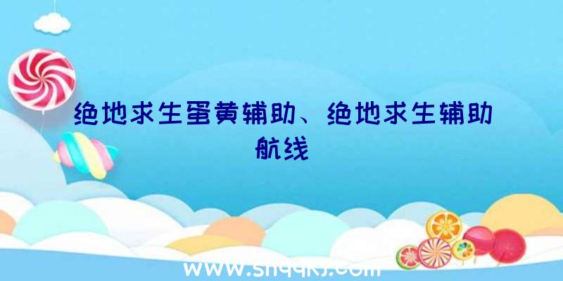 绝地求生蛋黄辅助、绝地求生辅助航线