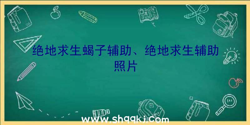 绝地求生蝎子辅助、绝地求生辅助照片