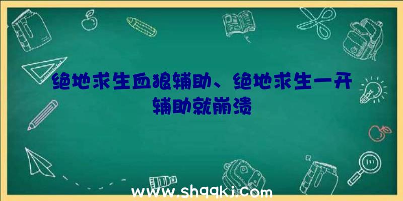 绝地求生血狼辅助、绝地求生一开辅助就崩溃