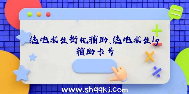 绝地求生街机辅助、绝地求生lg辅助卡号