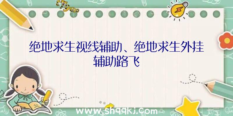 绝地求生视线辅助、绝地求生外挂辅助路飞