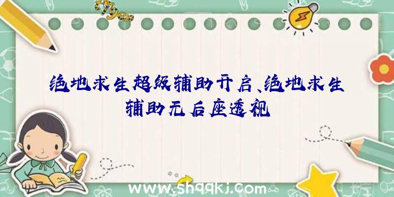 绝地求生超级辅助开启、绝地求生辅助无后座透视