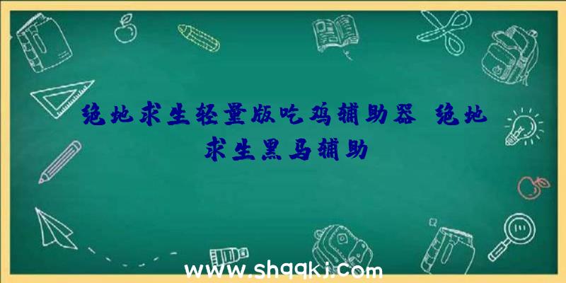 绝地求生轻量版吃鸡辅助器、绝地求生黑马辅助