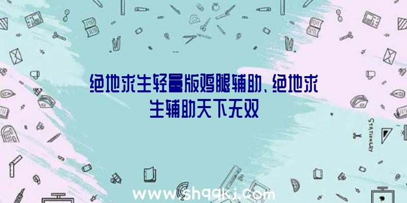 绝地求生轻量版鸡腿辅助、绝地求生辅助天下无双