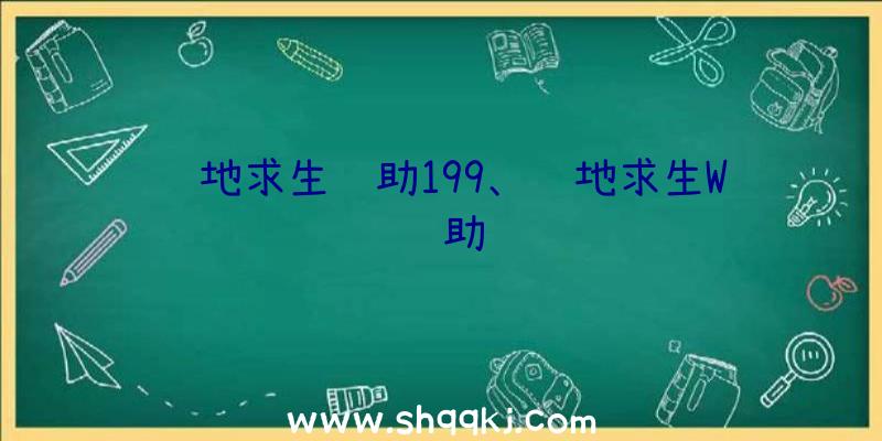 绝地求生辅助199、绝地求生W辅助