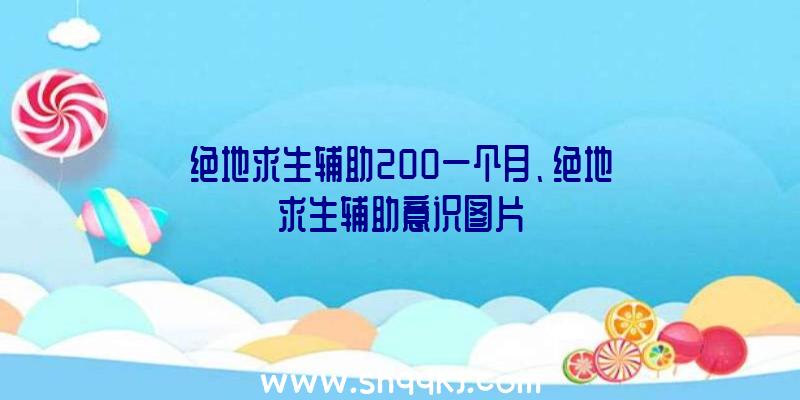 绝地求生辅助200一个月、绝地求生辅助意识图片