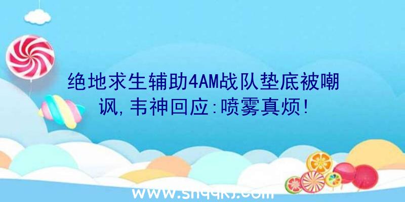 绝地求生辅助4AM战队垫底被嘲讽,韦神回应:喷雾真烦!