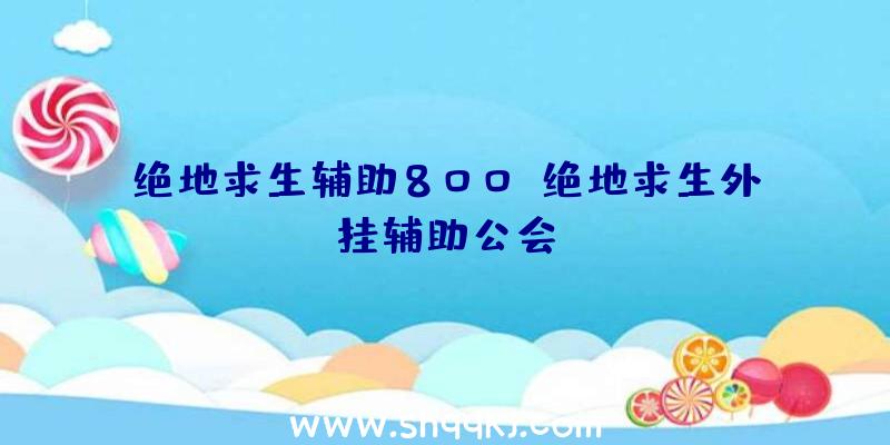 绝地求生辅助800、绝地求生外挂辅助公会