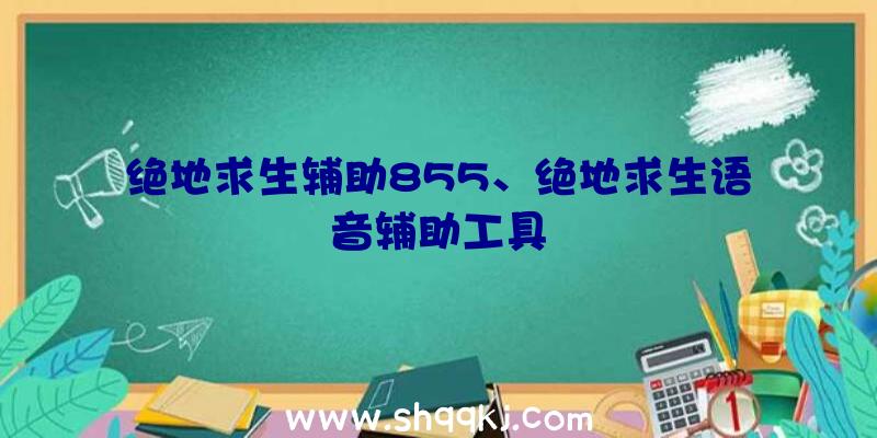 绝地求生辅助855、绝地求生语音辅助工具