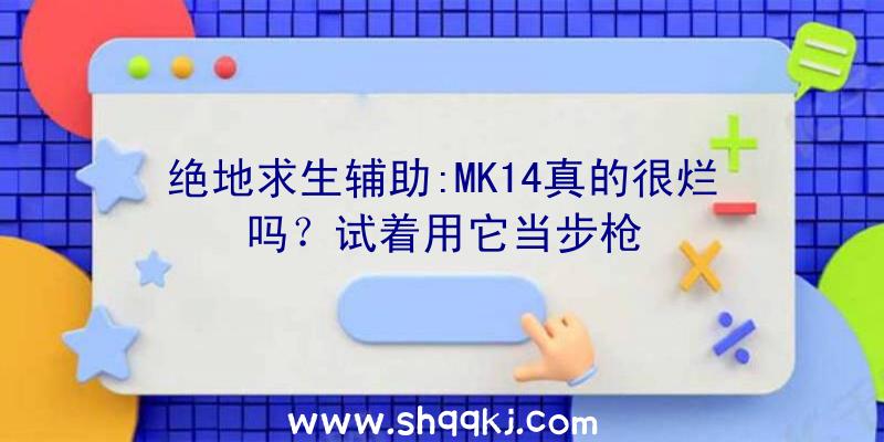 绝地求生辅助:MK14真的很烂吗？试着用它当步枪