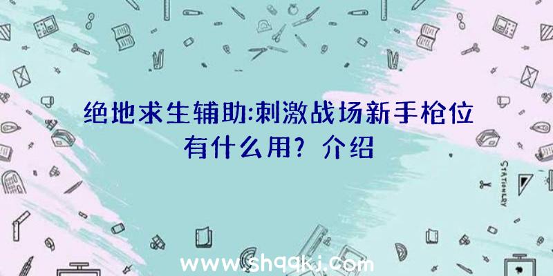 绝地求生辅助:刺激战场新手枪位有什么用？介绍