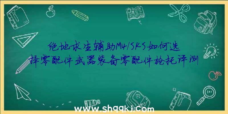 绝地求生辅助M4/SKS如何选择零配件武器装备零配件枪托评测分析