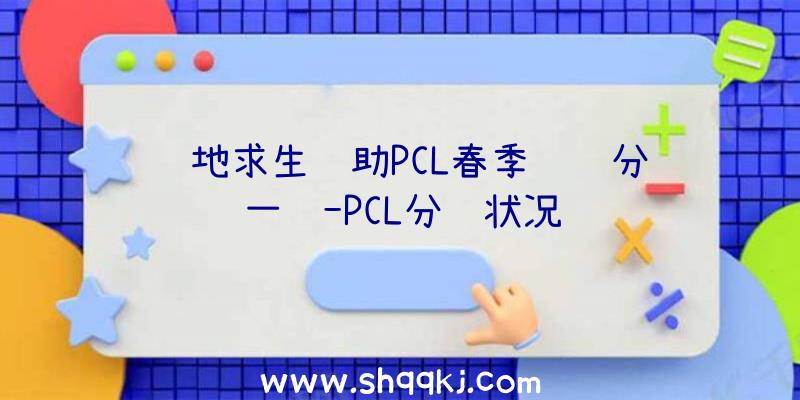 绝地求生辅助PCL春季联赛分组一览-PCL分组状况