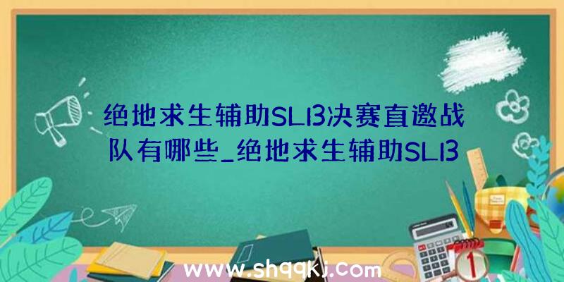 绝地求生辅助SLI3决赛直邀战队有哪些_绝地求生辅助SLI3决赛直邀战队引见