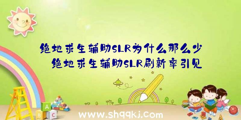 绝地求生辅助SLR为什么那么少_绝地求生辅助SLR刷新率引见