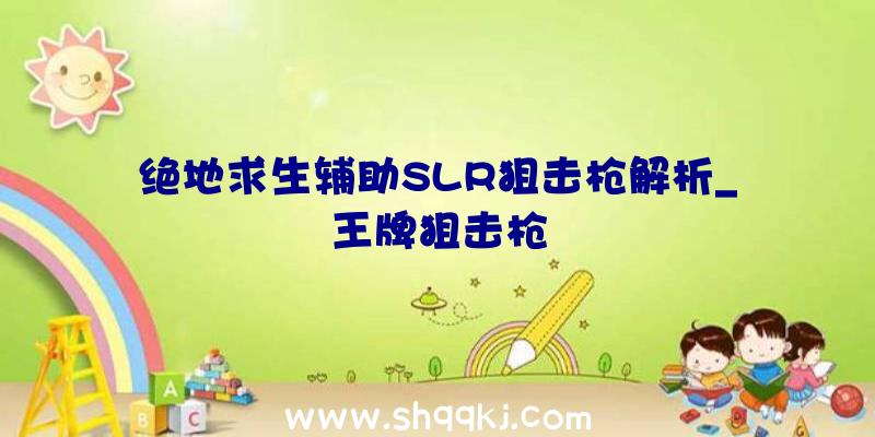 绝地求生辅助SLR狙击枪解析_王牌狙击枪