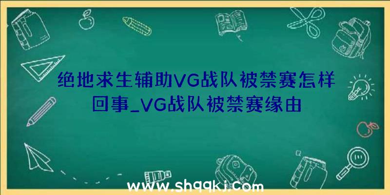 绝地求生辅助VG战队被禁赛怎样回事_VG战队被禁赛缘由