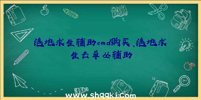 绝地求生辅助cmd购买、绝地求生去草丛辅助