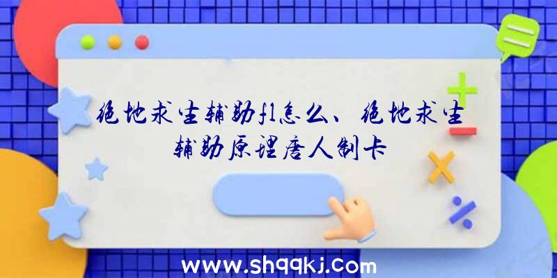 绝地求生辅助fl怎么、绝地求生辅助原理唐人制卡