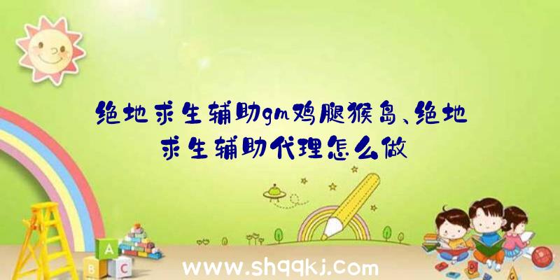 绝地求生辅助gm鸡腿猴岛、绝地求生辅助代理怎么做