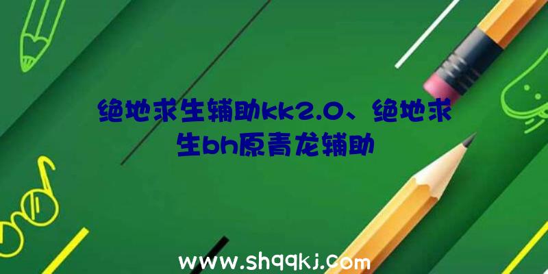 绝地求生辅助kk2.0、绝地求生bh原青龙辅助