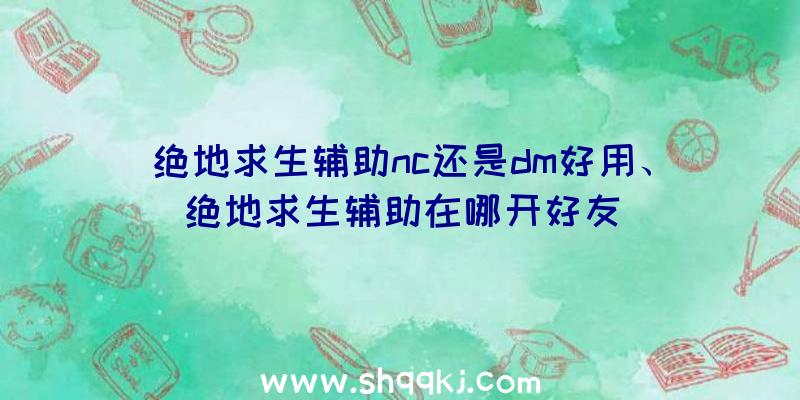 绝地求生辅助nc还是dm好用、绝地求生辅助在哪开好友