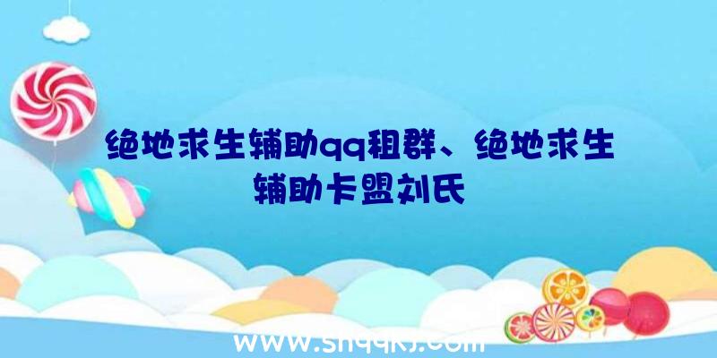 绝地求生辅助qq租群、绝地求生辅助卡盟刘氏