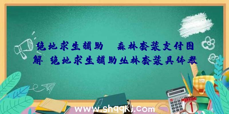 绝地求生辅助tw森林套装支付图解_绝地求生辅助丛林套装具体教程