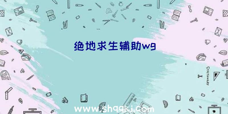 绝地求生辅助wg