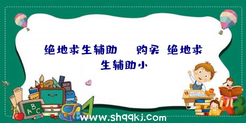 绝地求生辅助xyz购买、绝地求生辅助小