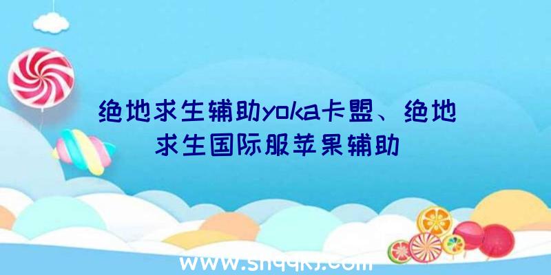 绝地求生辅助yoka卡盟、绝地求生国际服苹果辅助